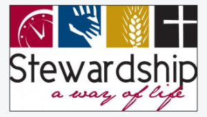 stewardship life