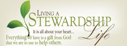 steardshtip banner 2